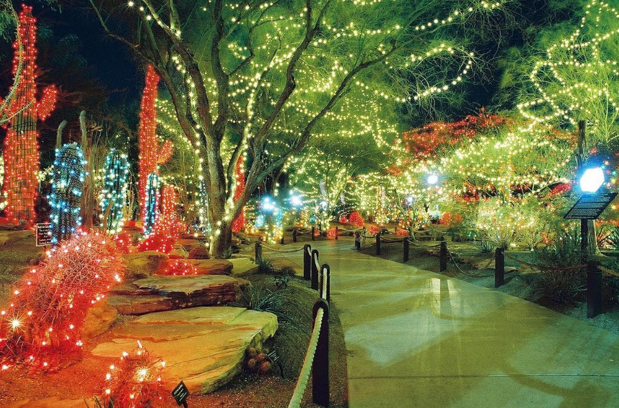 Ethel M Botanical Cactus Garden, United States